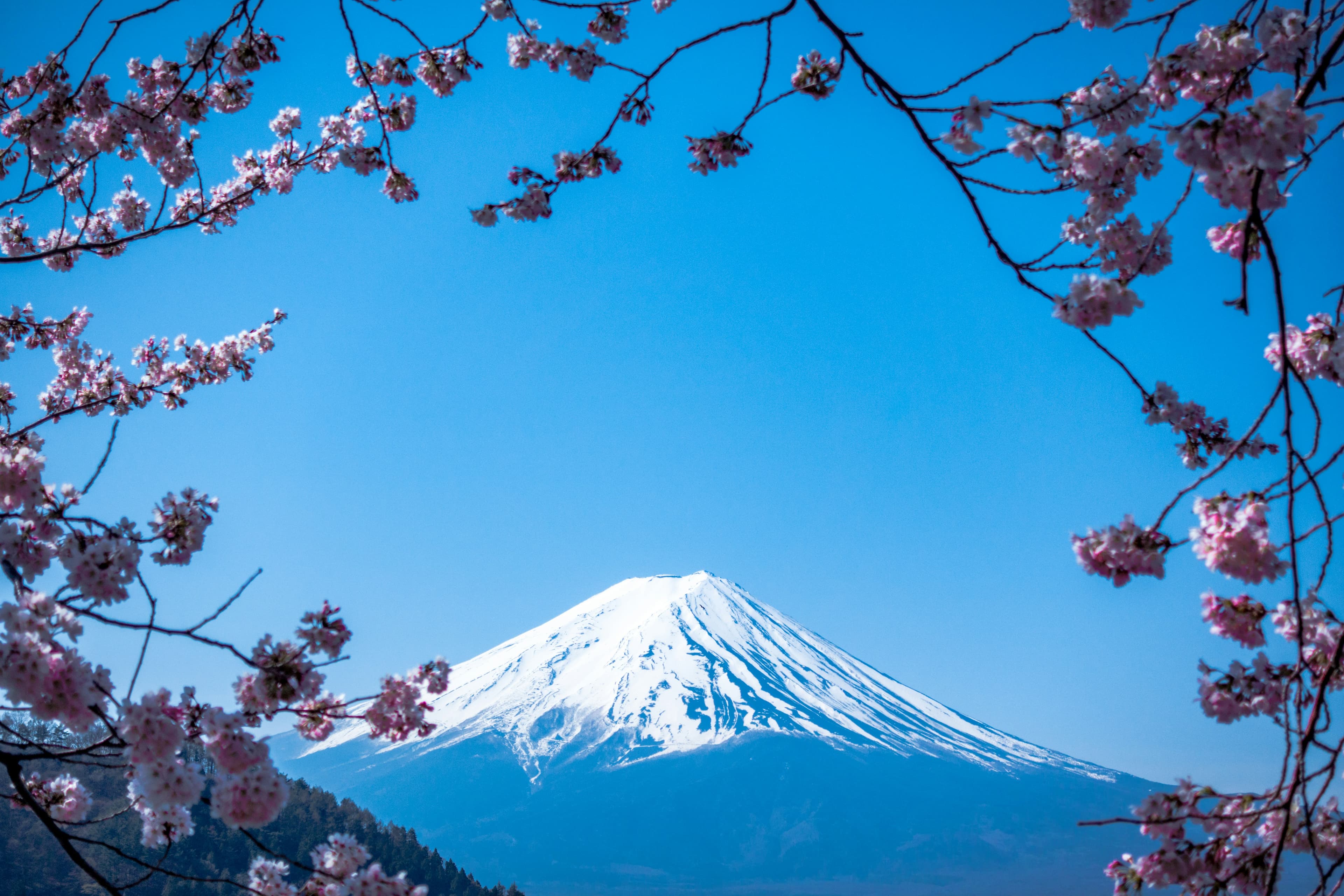 Kiyomi Garden Hotel - Image 2