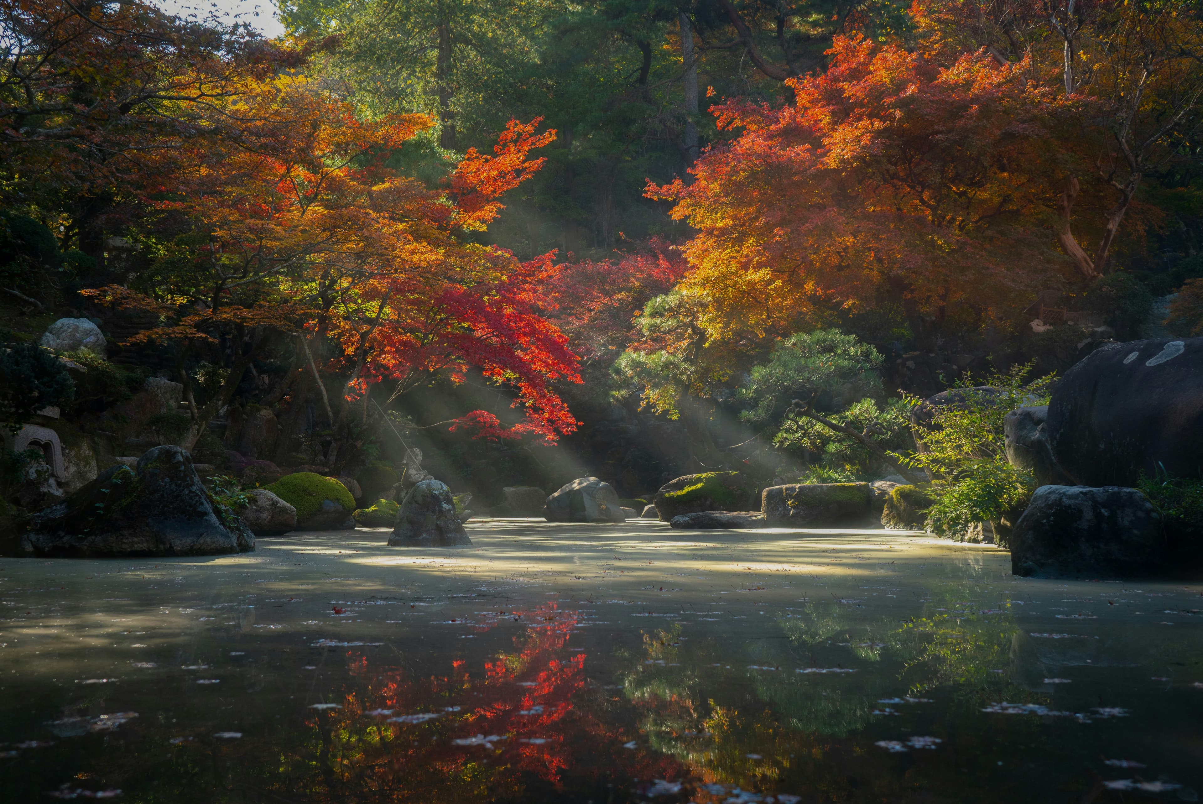 Kiyomi Garden Hotel - Image 6